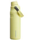 IceFlow™ Bottle with Fast Flow Lid | 24 OZ - Stanley Create
