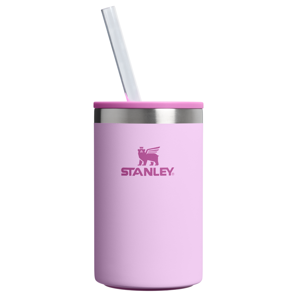 The Everyday Can Cooler Cup | 10 OZ - Stanley Create